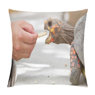Personality  Cherry Head Red Foot Tortoise Pillow Covers