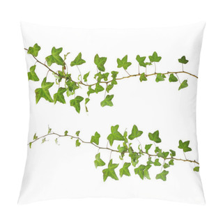 Personality  Sprig Of Ivy With Green Leaves Isolated On A White Background Pillow Covers
