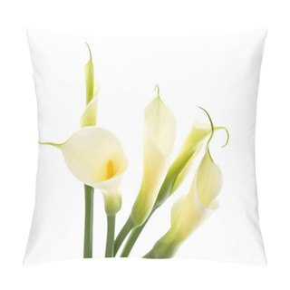 Personality  Five Calla Lilies Isolated On White Background Pillow Covers
