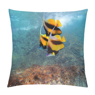 Personality  Pennant Coralfish Or Bannerfish Pillow Covers