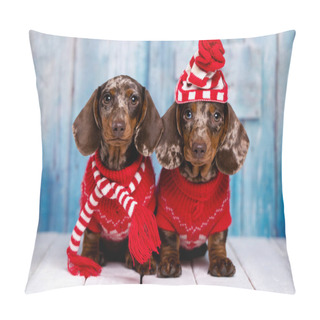 Personality  Tvo Puppy Dachshund; New Year's Puppy; Christmas Dog In Santa Hat Pillow Covers