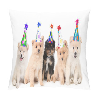 Personality  Five Pomeranian Puppies Celebrating A Bi Pillow Covers