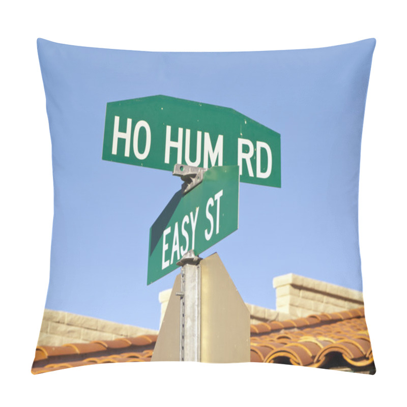 Personality  A road intersection in Carefree Arizona showing how to live a Ho Hum life on Easy Street. pillow covers