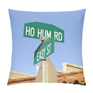 Personality  A Road Intersection In Carefree Arizona Showing How To Live A Ho Hum Life On Easy Street. Pillow Covers