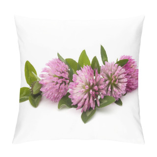 Personality  Clover Or Trefoil Flowers Pillow Covers