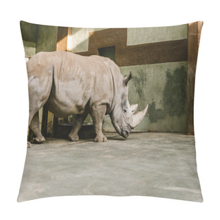 Personality  Side View Of Endangered White Rhino At Zoo  Pillow Covers