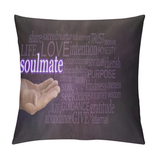 Personality  Seeking A Soulmate Pillow Covers