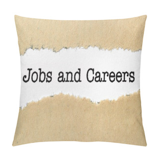 Personality  Jobs And Careers Pillow Covers