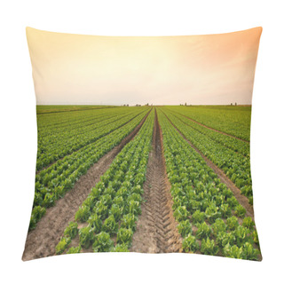 Personality  Lettuce Crop Pillow Covers