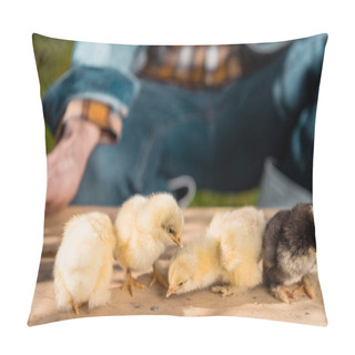 Personality  Partial View Of Male Farmer Holding Wooden Board With Adorable Baby Chicks Outdoors  Pillow Covers
