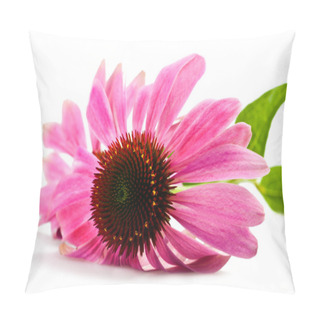 Personality  Coneflower Pillow Covers