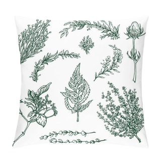 Personality  Hand-drawn Vector Set Of Plants, Outline Drawings. Pillow Covers