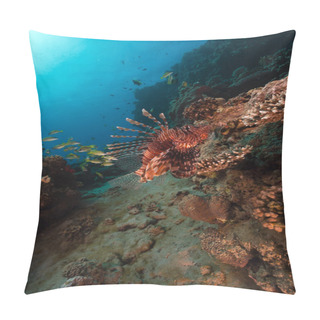 Personality  Tropical Waters Of The Red Sea.  Pillow Covers