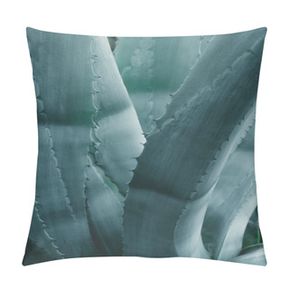 Personality  Close Up Background With Blue Aloe Leaves Pillow Covers