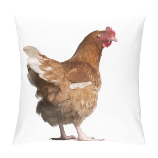 Personality  Brown Hen (2 Years Old) Pillow Covers