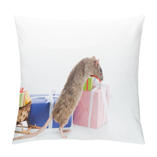Personality  Small And Domestic Rat Near Colorful Gifts Isolated On White  Pillow Covers