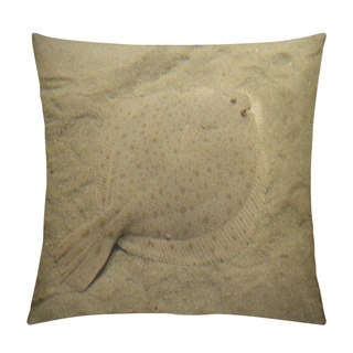 Personality  Dune Sand Surface, Desert Pillow Covers
