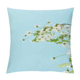 Personality  Close-up Shot Of Branch Of Aromatic Cherry Flowers Isolated On Blue Pillow Covers