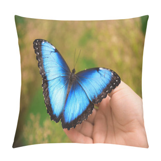 Personality  Woman Holding Beautiful Blue Morpho Butterfly Outdoors, Closeup Pillow Covers