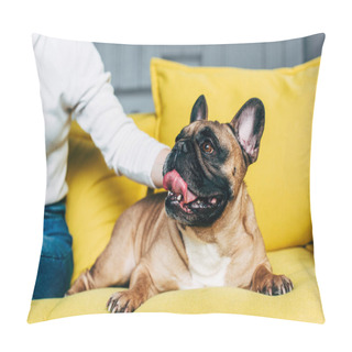 Personality  Cropped View Of Woman Touching Cute French Bulldog Lying On Yellow Sofa   Pillow Covers