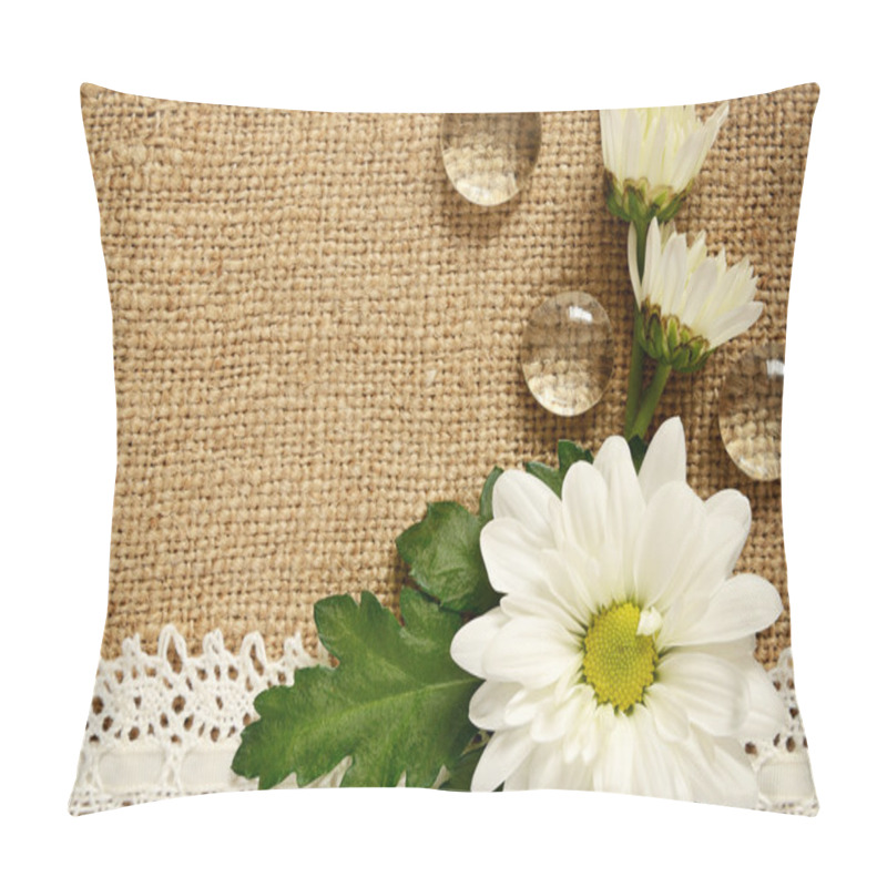 Personality  Daisy Arrangement On Beige Canvas Pillow Covers