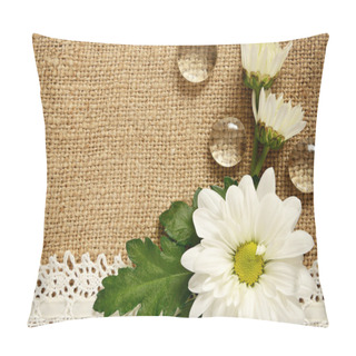 Personality  Daisy Arrangement On Beige Canvas Pillow Covers