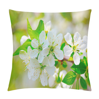 Personality  Sprig Of Flowering Cherry Blossoms In Spring Garden Pillow Covers