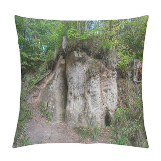 Personality  Sandstone Cliff Formation With Caves In Green Forest. Text, Names Carved In Wall Pillow Covers