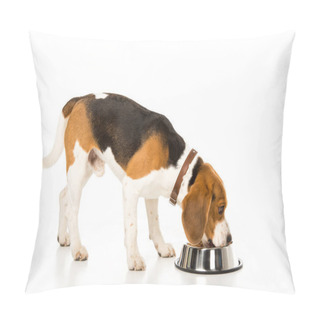 Personality  Side View Of Beagle Eating Dog Food Isolated On White Pillow Covers