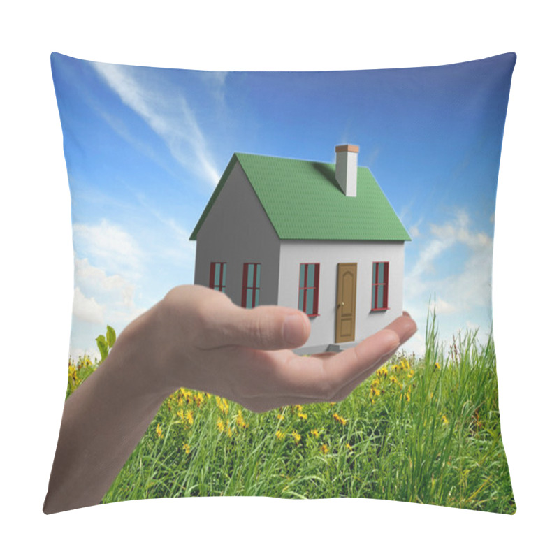 Personality  House in hand on a background of flowering meadows 3 D graphics construction pillow covers