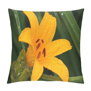Personality  Beautiful Orange Lily Pillow Covers