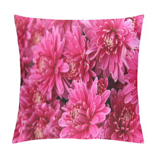 Personality  Bouquet Of Pink Autumn Chrysanthemum, Close Up Pillow Covers