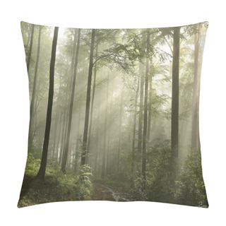 Personality  Spring Beech Forest At Dawn Pillow Covers