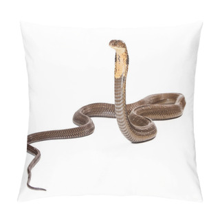 Personality  King Cobra Snake Looking To The Side Pillow Covers