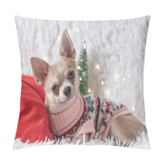 Personality  Cute Little Christmas Dog Chihuahua Dog In Sweater Lies On A Blanket Pillow Covers