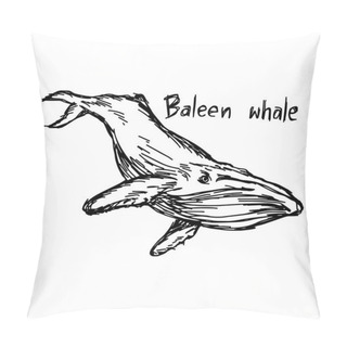 Personality  Baleen Whale - Vector Illustration Sketch Hand Drawn With Black Lines, Isolated On White Background Pillow Covers