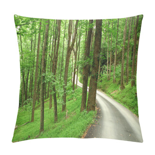 Personality  Country Road Through Green Mountain Forest Pillow Covers