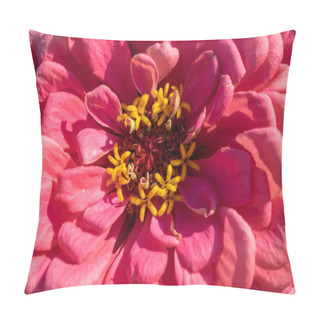 Personality  Macro Photo Of A Blooming Zinia Flower. Natural Floral Layout. Top View Pillow Covers