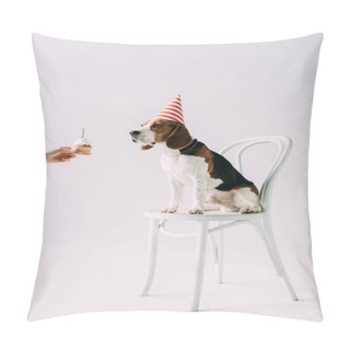 Personality  Cropped View Of Woman Holding Sweet Cupcake Near Beagle Dog Sitting On Chair On Grey Background Pillow Covers