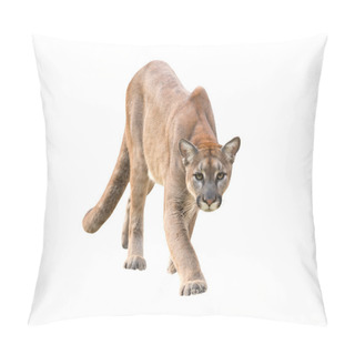 Personality  Puma Isolated Pillow Covers