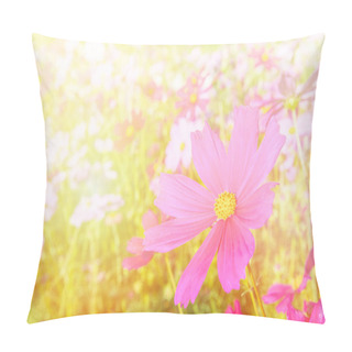Personality  Spring Flowers Background / Cosmos Pink Flowers Yellow Orange Nature Beautiful Garden Flowers Blooming Summer Pillow Covers