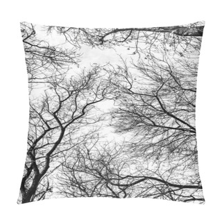 Personality  Tree Branches Silhouette On White Background Pillow Covers