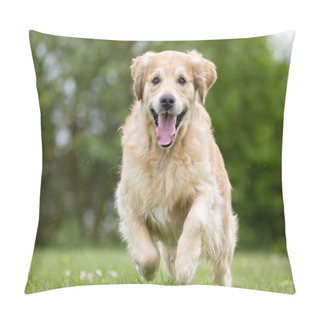 Personality  Golden Retriever Dog Running Outdoors In Nature Pillow Covers