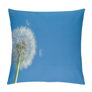 Personality  White Dandelion Against Sky Background Pillow Covers