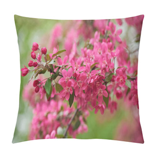 Personality  Close-up View Of Beautiful Pink Almond Flowers, Selective Focus   Pillow Covers
