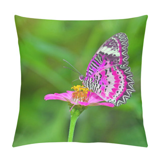 Personality  Butterfly On Flower Pillow Covers