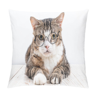 Personality  Cute Cat With Glasses Pillow Covers