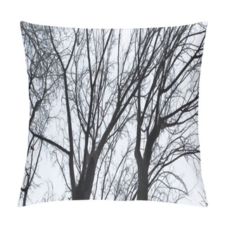 Personality  Bottom-up View Of Winter Gray Sky And Leafless Dry Tree Branches. Pillow Covers