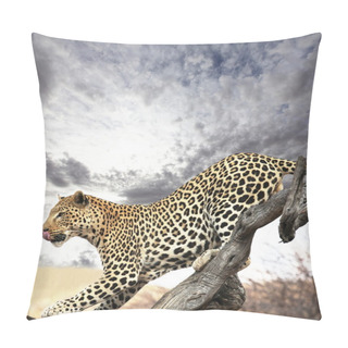 Personality  Leopard Pillow Covers