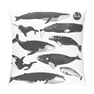 Personality  Doodle Cute Marine Animal Whale Species Elements Pillow Covers
